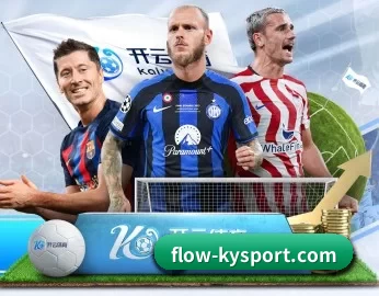 flow-kysport.com的故事